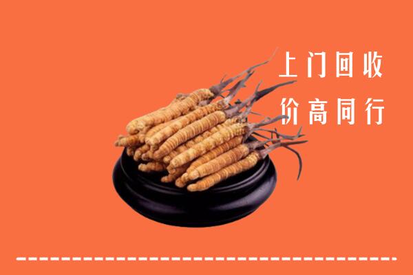 郴州市回收散虫草