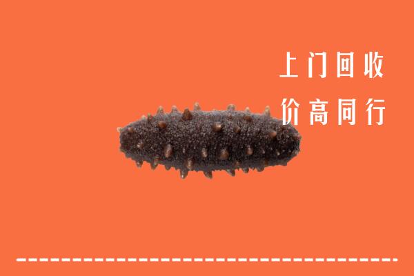 郴州市高价回收海参